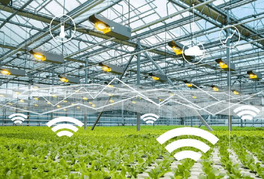 物聯(lián)網(wǎng)時代下，物聯(lián)卡在智慧農(nóng)業(yè)中的應(yīng)用場景與特性解析